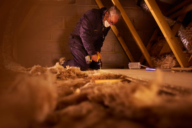 Eco-Friendly or Green Insulation Solutions in Susanville, CA